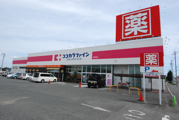 豊川市佐土町の中古一戸建て(ココカラファイン桜木店)