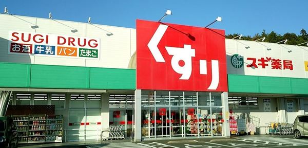 豊橋市大岩町字北山の土地(スギ薬局二川店)