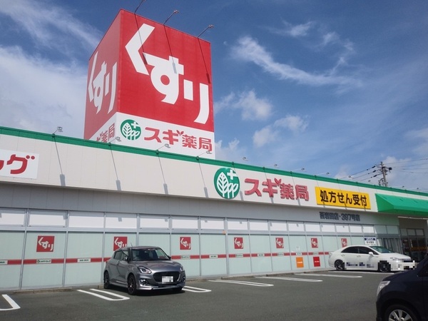 豊橋市三ノ輪町2丁目の土地(スギ薬局西岩田店)