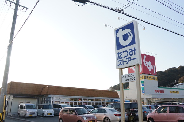 豊川市御津町大草 3号棟(たつみストアー御津店)