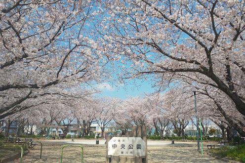 豊川市伊奈町慶応2期 2号棟(中央公園)