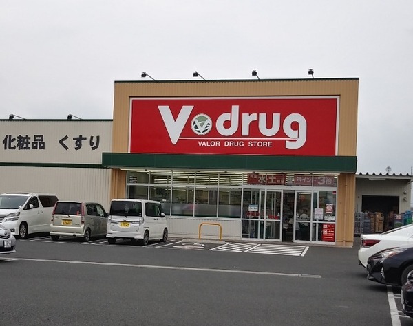 豊橋市前芝町西青 全1棟(V・drug豊川伊奈店)