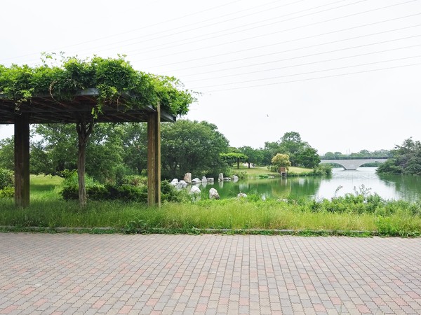 豊橋西幸町　1号棟(幸公園)