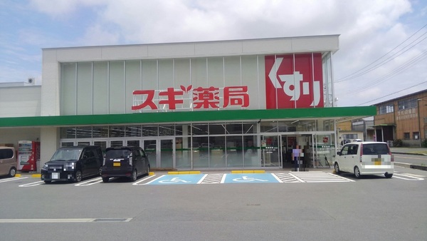 豊橋柳生川南部土地区画整理地内　2号棟(スギ薬局牟呂店)