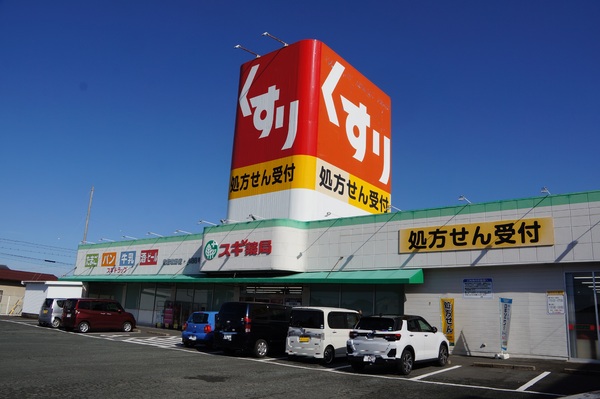 豊橋市北山町の中古一戸建て(スギ薬局豊橋牧野店)