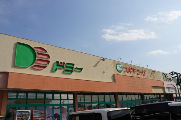 豊橋市神野新田町第1期1号棟(ドミー神野店)