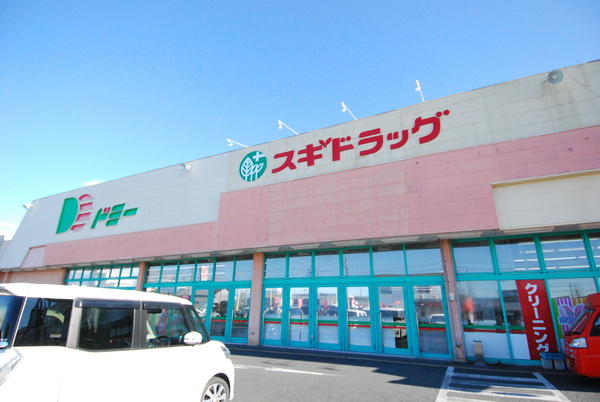 豊橋市神野新田町第1期1号棟(スギドラッグ神野店)
