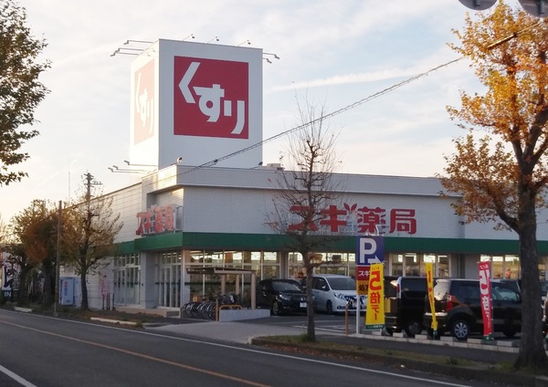 豊橋市多米西町第1期　1号棟(スギ薬局東岩田店)