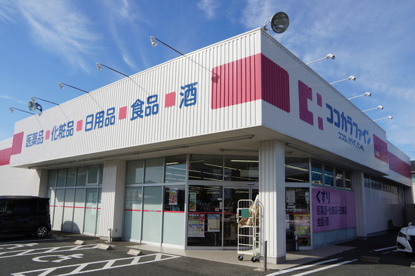 豊川国府町第1期　１号棟(ココカラファイン為当店)