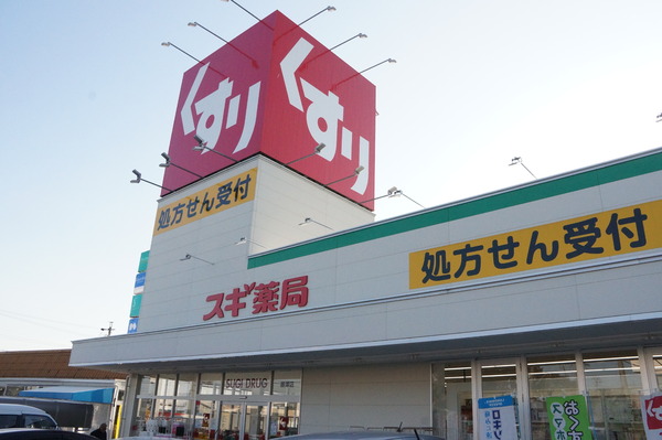豊川市御津町大草59期　2号棟(スギ薬局御津店)