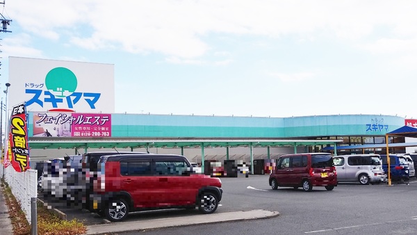 豊橋市三ノ輪町三ノ輪第1　全1棟(ドラッグスギヤマ三ノ輪店)