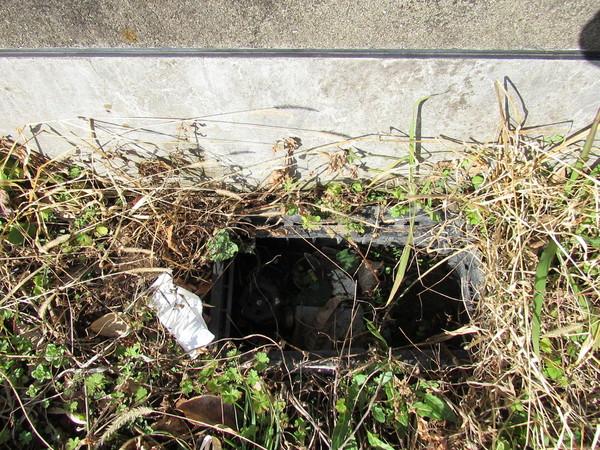 宮崎市本郷１丁目の土地