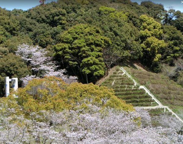 宮崎市佐土原町上田島の土地(久峰総合公園野球場)