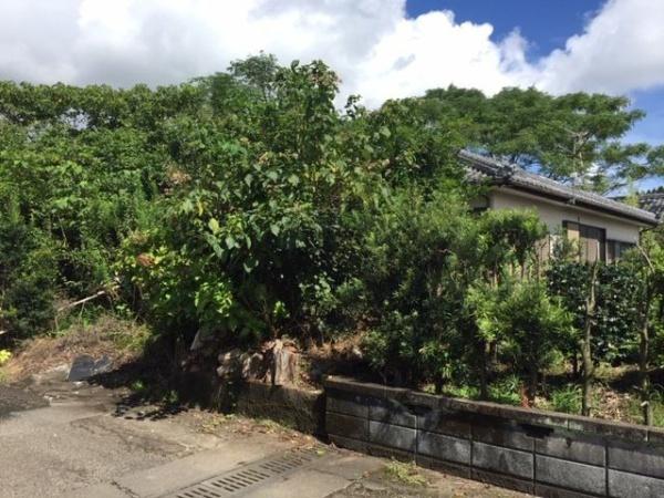 東諸県郡国富町大字塚原の土地