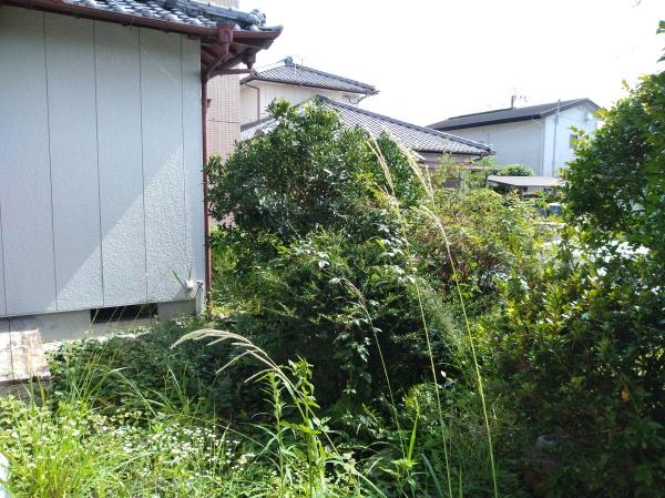 宮崎市神宮西2丁目の中古一戸建て(庭)