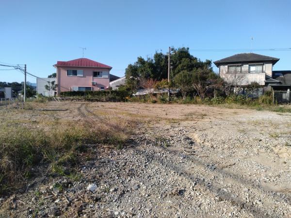 金崎土地