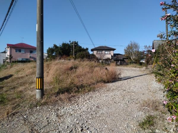 金崎土地