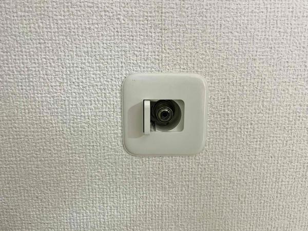 リベラル一ッ葉