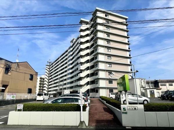 リベラル一ッ葉
