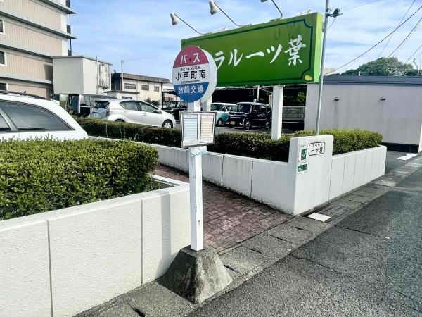 リベラル一ッ葉