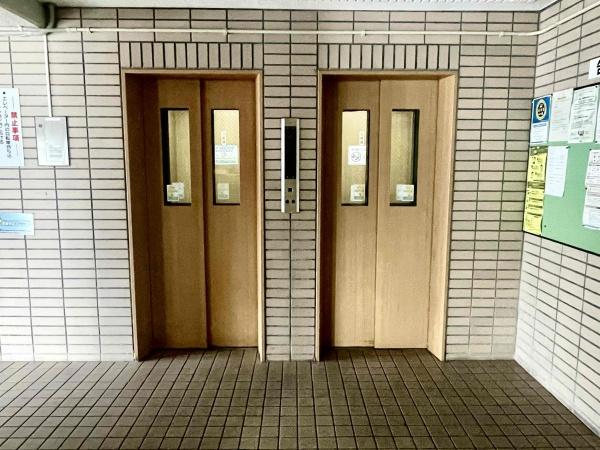 リベラル一ッ葉