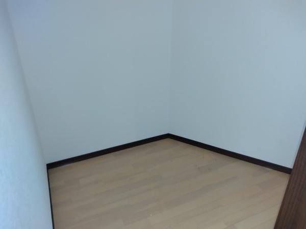 宮崎市大字恒久の中古一戸建て(収納)