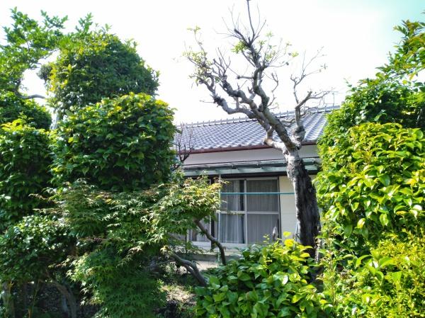 宮崎市大字恒久の土地