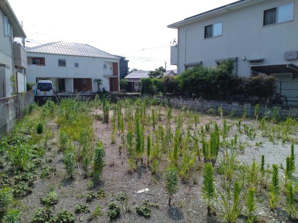 宮崎市吉村町引土の土地