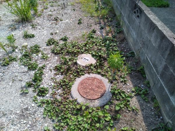 宮崎市吉村町引土の土地