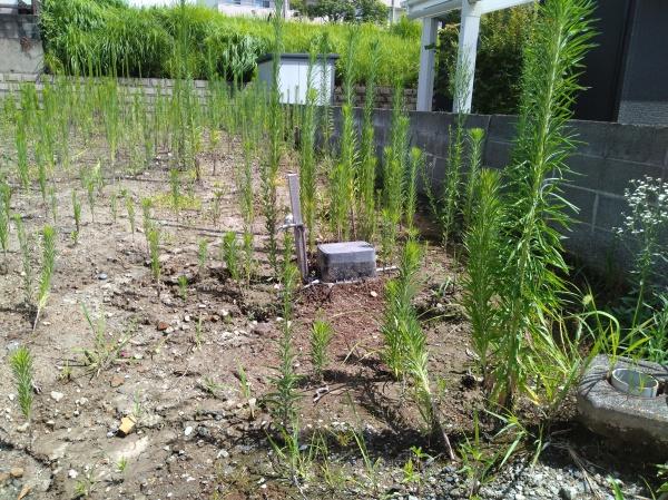 宮崎市佐土原町下田島の土地