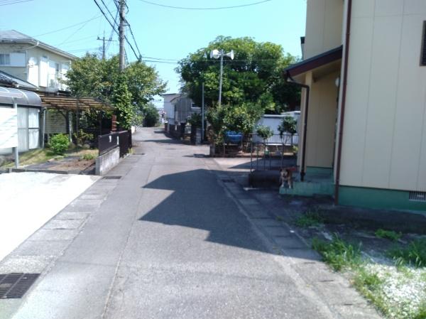 宮崎市吉村町寺ノ下の土地