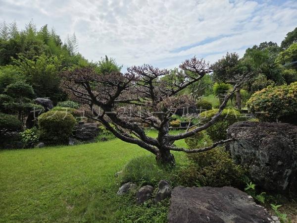 日本庭園を思わせるきれいに整備された庭が特徴です。