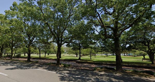 宮崎市霧島２丁目の土地(宮崎県総合文化公園)