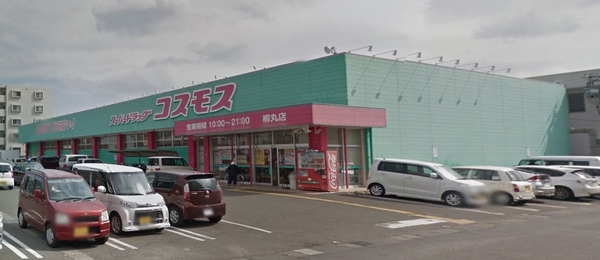 ヴァンデュールパレス神宮東(ディスカウントドラッグコスモス柳丸店)