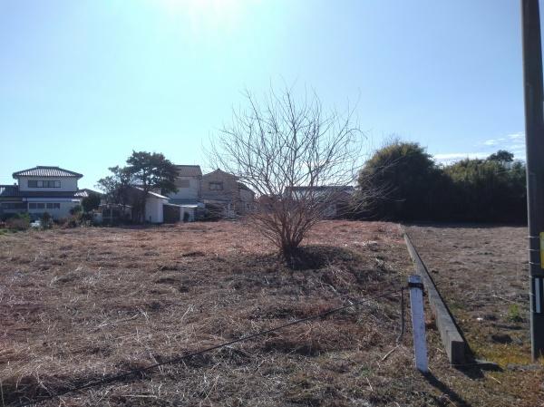 新富町土地