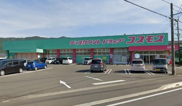 田野町甲第9-1号棟(ディスカウントドラッグコスモス田野店)