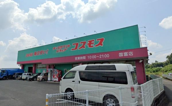 宮崎市高岡町飯田３丁目の中古一戸建て(ディスカウントドラッグコスモス国富店)