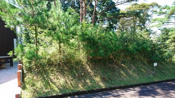 霧島市霧島大窪の土地(間取り)