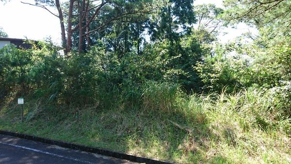 霧島市霧島大窪土地