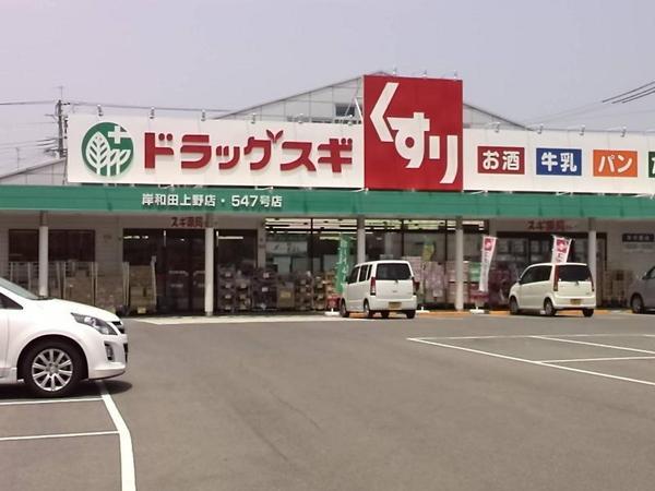 コーストアベニュー岸和田コーポラス３号棟　中古マンション(スギ薬局岸和田上野店)