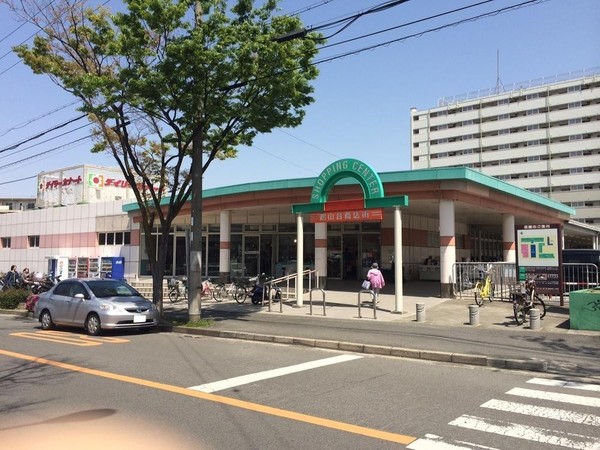 和泉市上町の中古一戸建て(デイリーカナート鶴山台店)