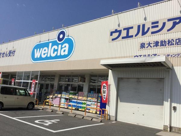 泉大津市助松町3丁目の新築一戸建(ウエルシア泉大津助松店)