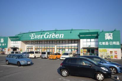 ジュネス岸和田フィオーレ 中古マンション(エバグリーン岸和田久米田店)
