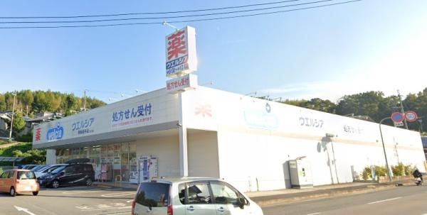 堺市南区槇塚台2丁の土地(ウエルシア堺泉田中店)