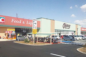 岸和田市西大路町の土地(オークワ和泉小田店)