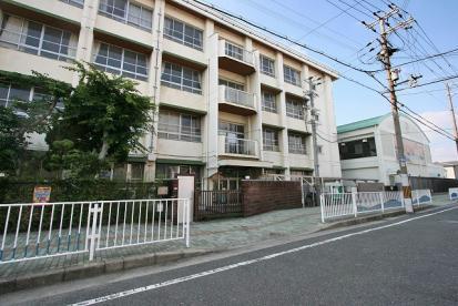 泉大津市松之浜町２丁目の土地(泉大津市立浜小学校)