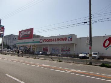 泉大津市松之浜町２丁目の土地(オークワ泉大津店)
