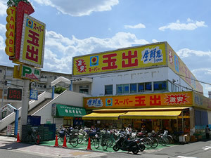 和泉市池上町２丁目の中古一戸建て(スーパー玉出信太山店)