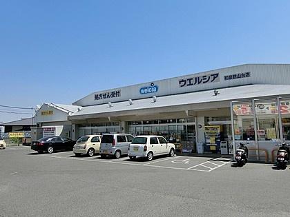 和泉市王子町の中古一戸建て(ウエルシア和泉鶴山台店)