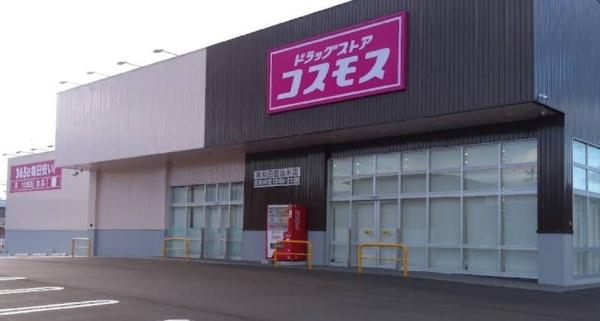 岸和田市今木町の中古一戸建て(ディスカウントドラッグコスモス岸和田田治米店)